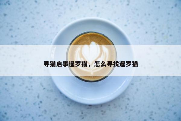 寻猫启事暹罗猫，怎么寻找暹罗猫