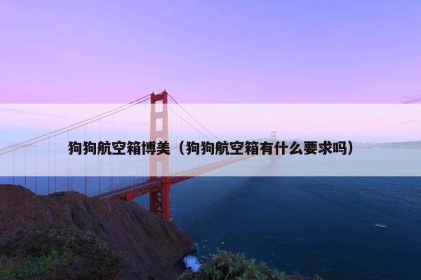 狗狗航空箱博美（狗狗航空箱有什么要求吗）