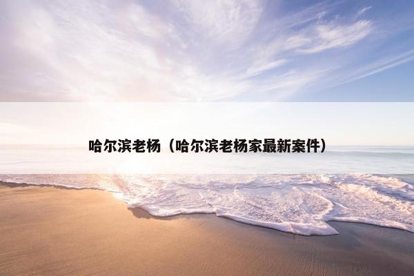 哈尔滨老杨（哈尔滨老杨家最新案件）