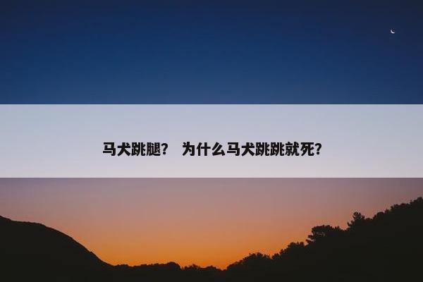 马犬跳腿？ 为什么马犬跳跳就死？
