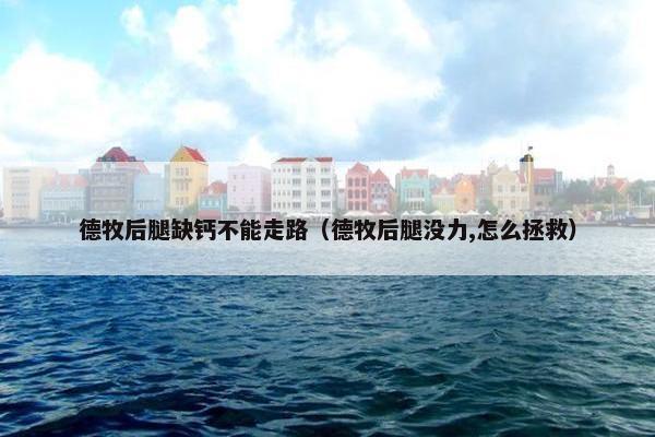 德牧后腿缺钙不能走路（德牧后腿没力,怎么拯救）