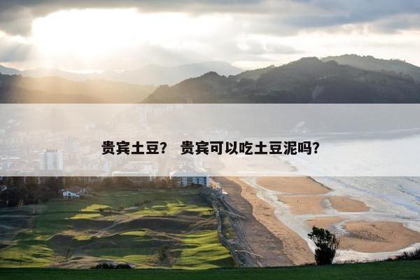 贵宾土豆？ 贵宾可以吃土豆泥吗？