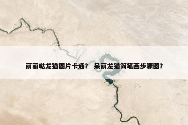萌萌哒龙猫图片卡通？ 呆萌龙猫简笔画步骤图？