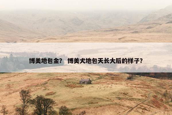 博美地包金？ 博美犬地包天长大后的样子？
