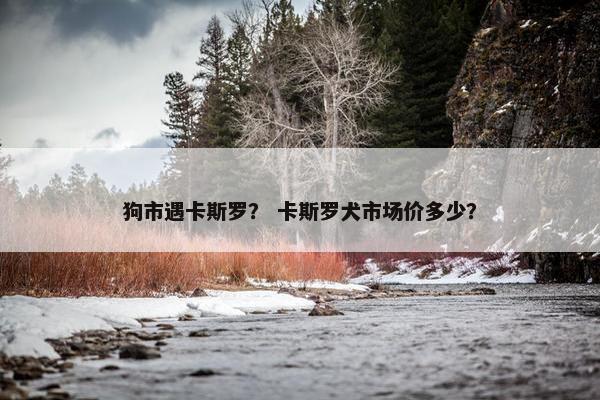 狗市遇卡斯罗? 卡斯罗犬市场价多少?