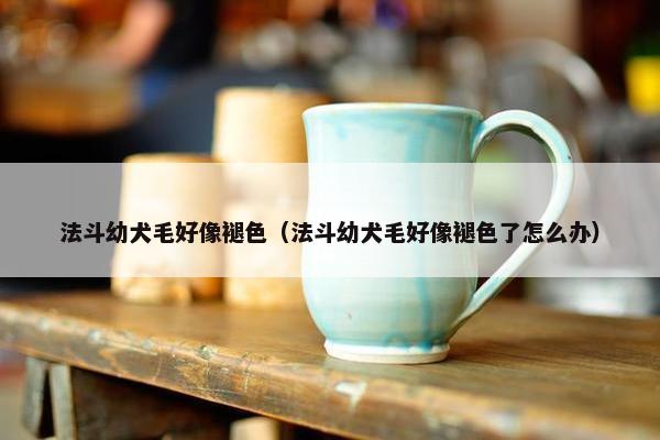 法斗幼犬毛好像褪色（法斗幼犬毛好像褪色了怎么办）