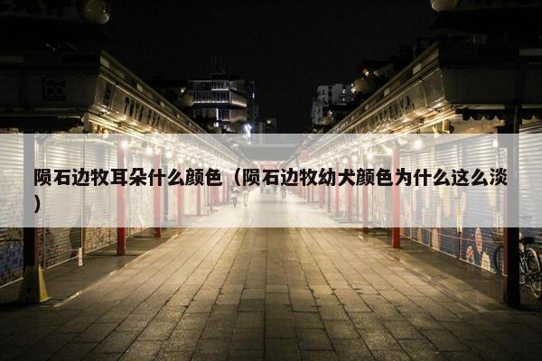 陨石边牧耳朵什么颜色（陨石边牧幼犬颜色为什么这么淡）