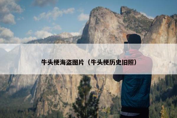 牛头梗海盗图片（牛头梗历史旧照）