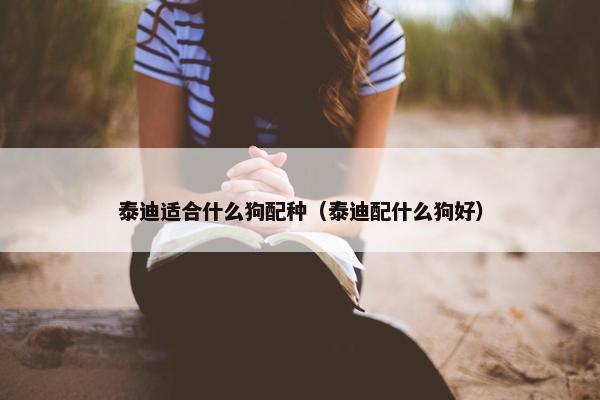 泰迪适合什么狗配种（泰迪配什么狗好）