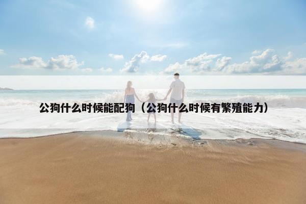 公狗什么时候能配狗（公狗什么时候有繁殖能力）