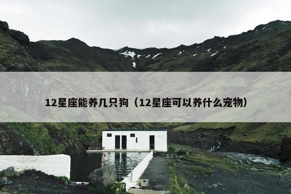 12星座能养几只狗(12星座可以养什么宠物)
