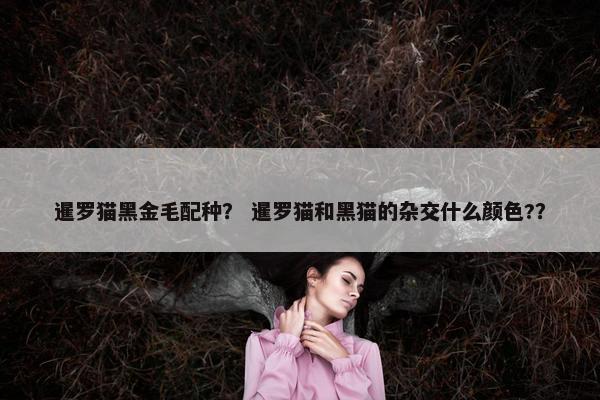 暹罗猫黑金毛配种？ 暹罗猫和黑猫的杂交什么颜色?？