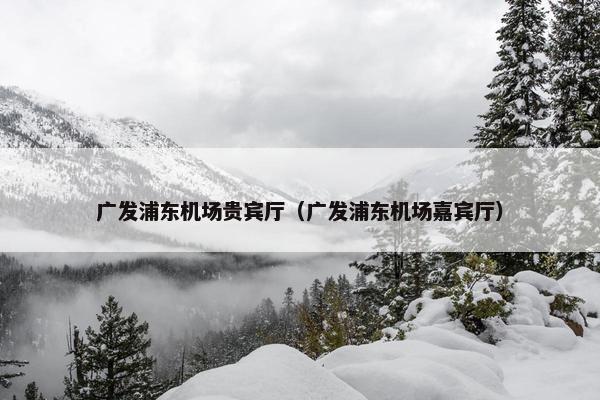 广发浦东机场贵宾厅（广发浦东机场嘉宾厅）