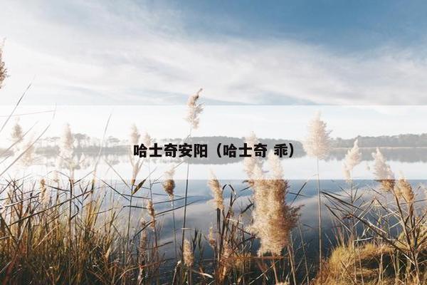 哈士奇安阳（哈士奇 乖）