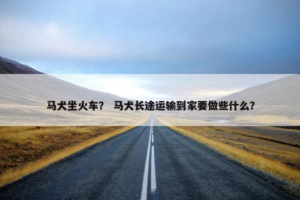 马犬坐火车？ 马犬长途运输到家要做些什么？
