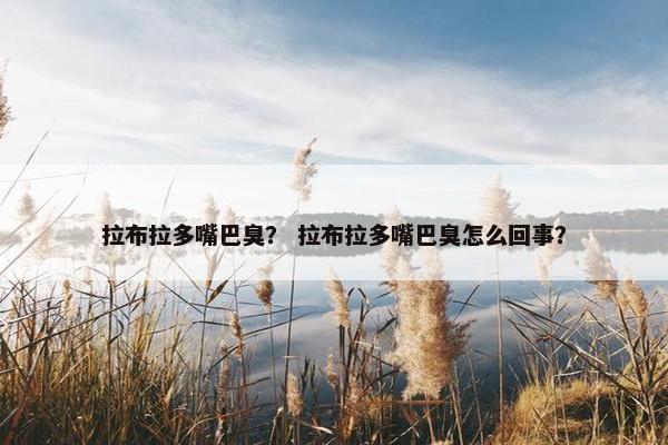 拉布拉多嘴巴臭？ 拉布拉多嘴巴臭怎么回事？