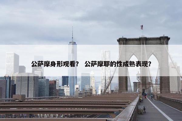 公萨摩身形观看？ 公萨摩耶的性成熟表现？