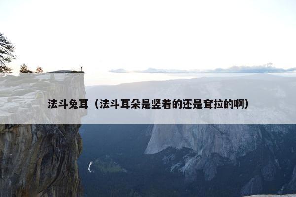 法斗兔耳（法斗耳朵是竖着的还是耷拉的啊）