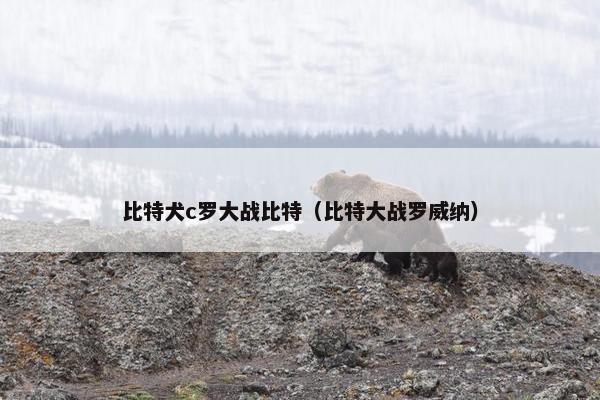 露娜
