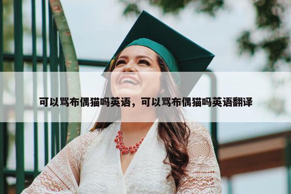 可以骂布偶猫吗英语，可以骂布偶猫吗英语翻译