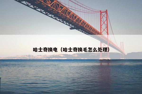哈士奇换电（哈士奇换毛怎么处理）