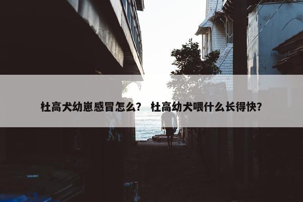 杜高犬幼崽感冒怎么？ 杜高幼犬喂什么长得快？