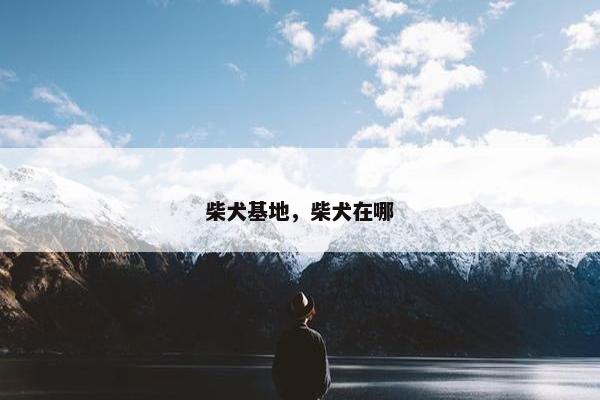 柴犬基地，柴犬在哪