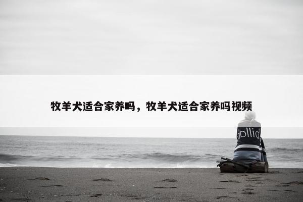 牧羊犬适合家养吗，牧羊犬适合家养吗视频