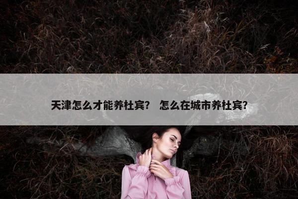 外环线
