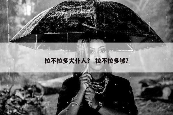 拉不拉多犬仆人？ 拉不拉多够？