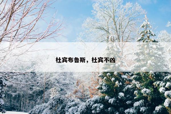 杜宾布鲁斯，杜宾不凶