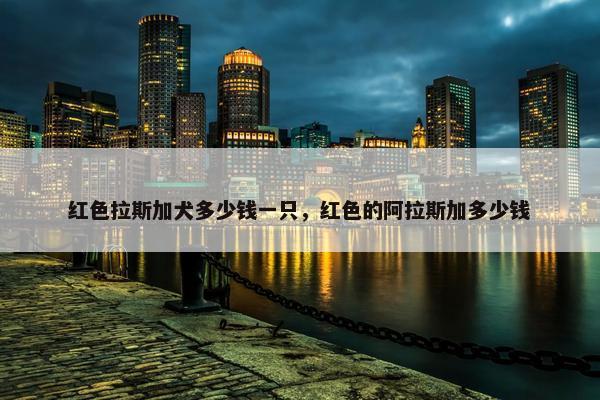 红色拉斯加犬多少钱一只，红色的阿拉斯加多少钱