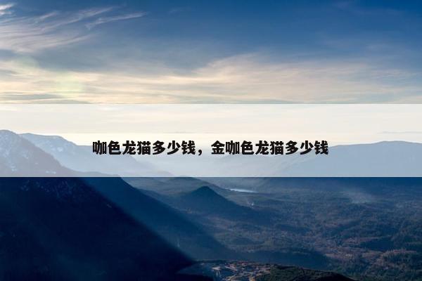 咖色龙猫多少钱，金咖色龙猫多少钱