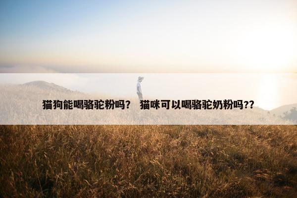 猫狗能喝骆驼粉吗？ 猫咪可以喝骆驼奶粉吗?？