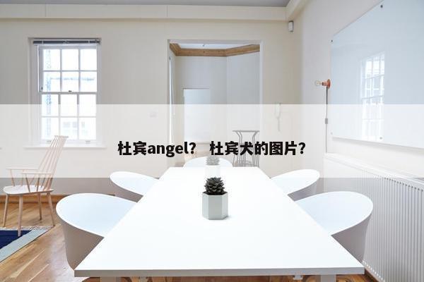 杜宾angel？ 杜宾犬的图片？