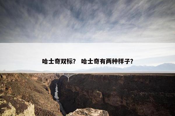 备注