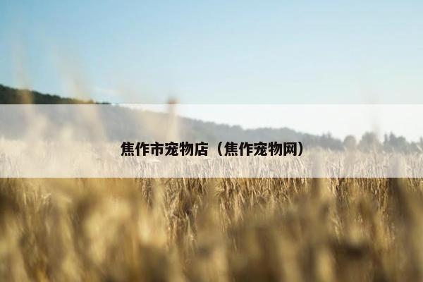 焦作市宠物店（焦作宠物网）