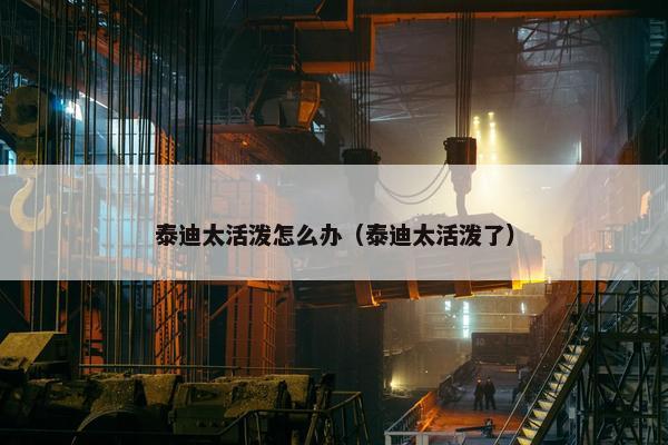 泰迪太活泼怎么办（泰迪太活泼了）