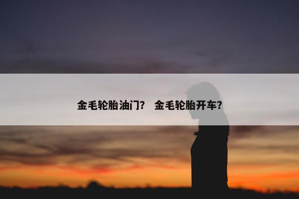 轮胎