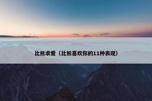 比熊求爱（比熊喜欢你的11种表现）