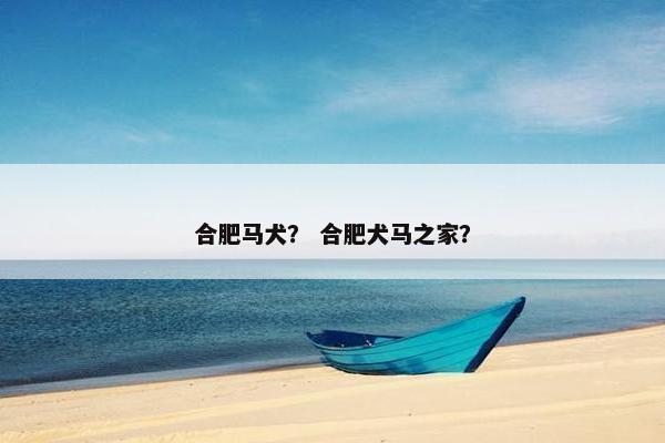 合肥马犬？ 合肥犬马之家？