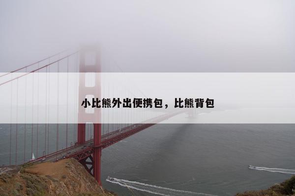 小比熊外出便携包，比熊背包