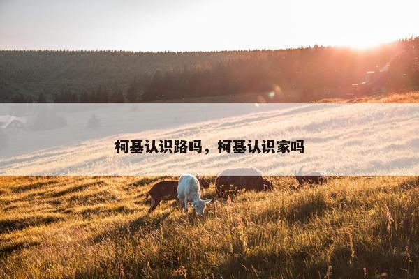 柯基认识路吗，柯基认识家吗