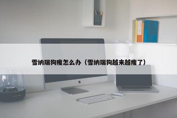雪纳瑞狗瘦怎么办（雪纳瑞狗越来越瘦了）