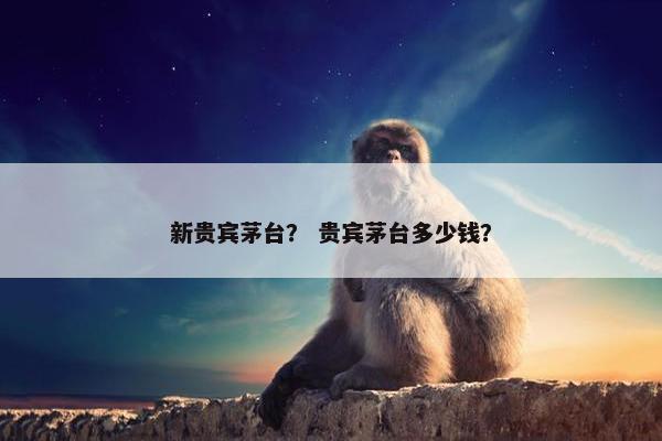 茅台 第2页