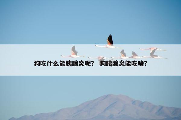 狗吃什么能胰腺炎呢？ 狗胰腺炎能吃啥？