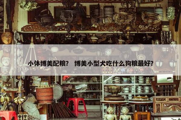 小体博美配粮？ 博美小型犬吃什么狗粮最好？