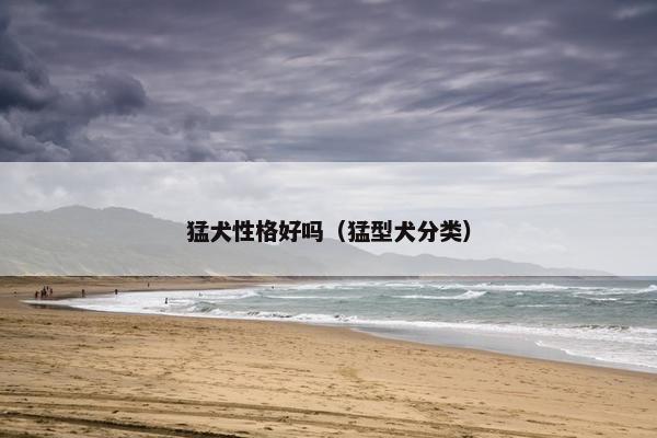 猛犬性格好吗（猛型犬分类）