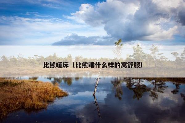 比熊暖床（比熊睡什么样的窝舒服）