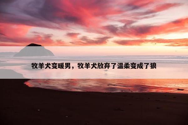 牧羊犬变暖男，牧羊犬放弃了温柔变成了狼